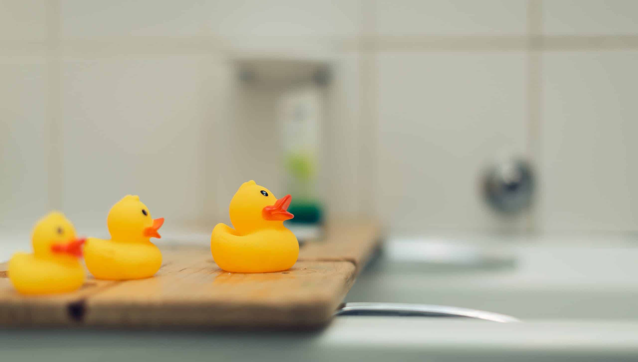 Trois canards en plastqiue dans une salle de bain, posés sur une baignoire